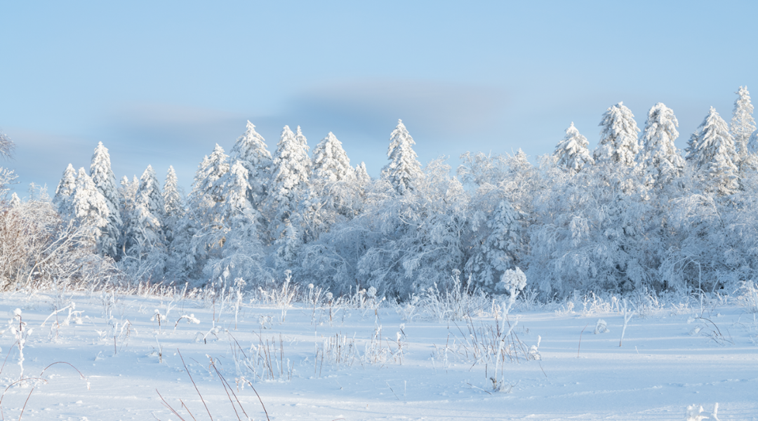 今日大雪|无惧风雪 守护万家