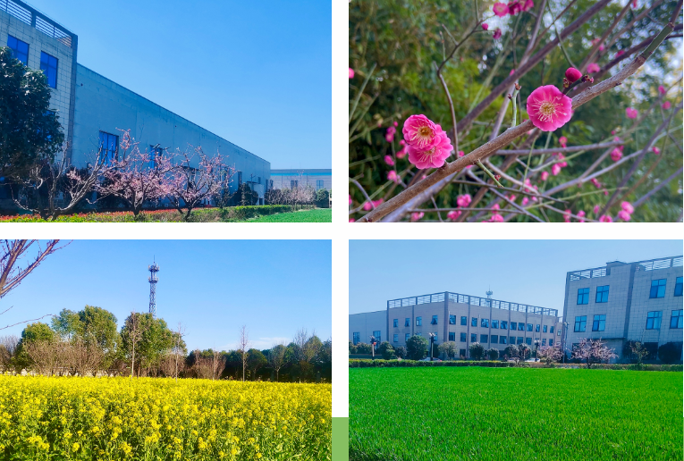 春光不负赶路人|驰诚BG视讯,BB电子官方网站首页,BBIN官方网站登录奏响“春日奋斗曲”