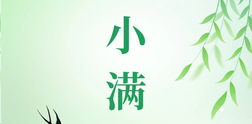 今日小满|温风拂穗 小得盈满